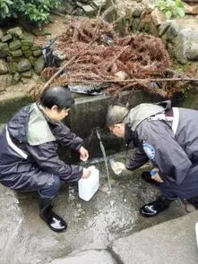 組建應急分隊，筑牢汛期飲水安全防線